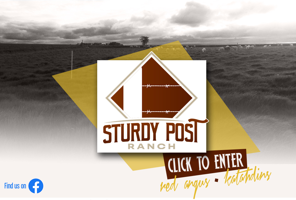 Sturdy Post Ranch