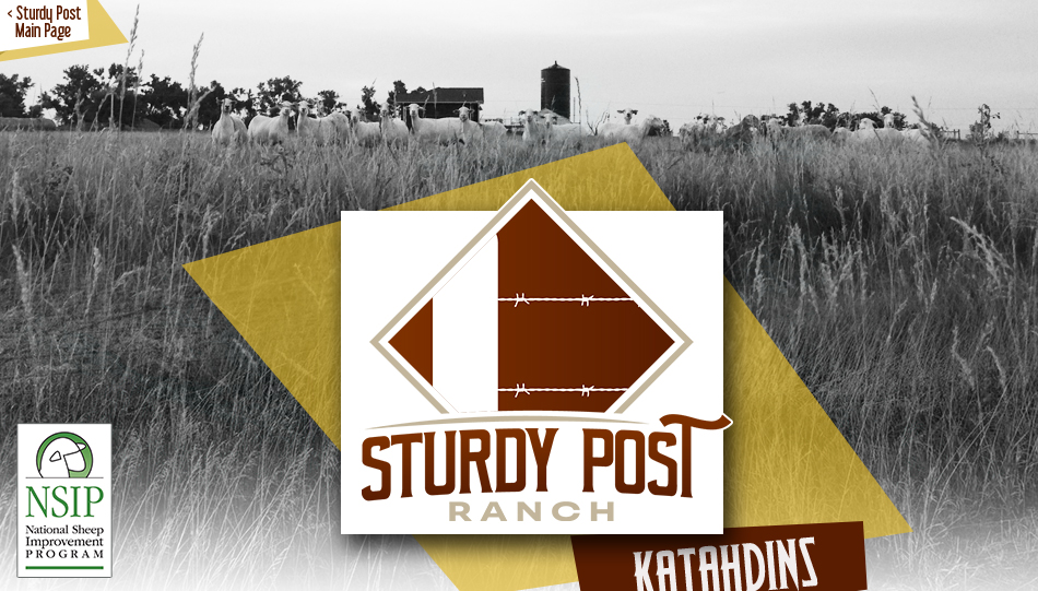 Sturdy Post Ranch