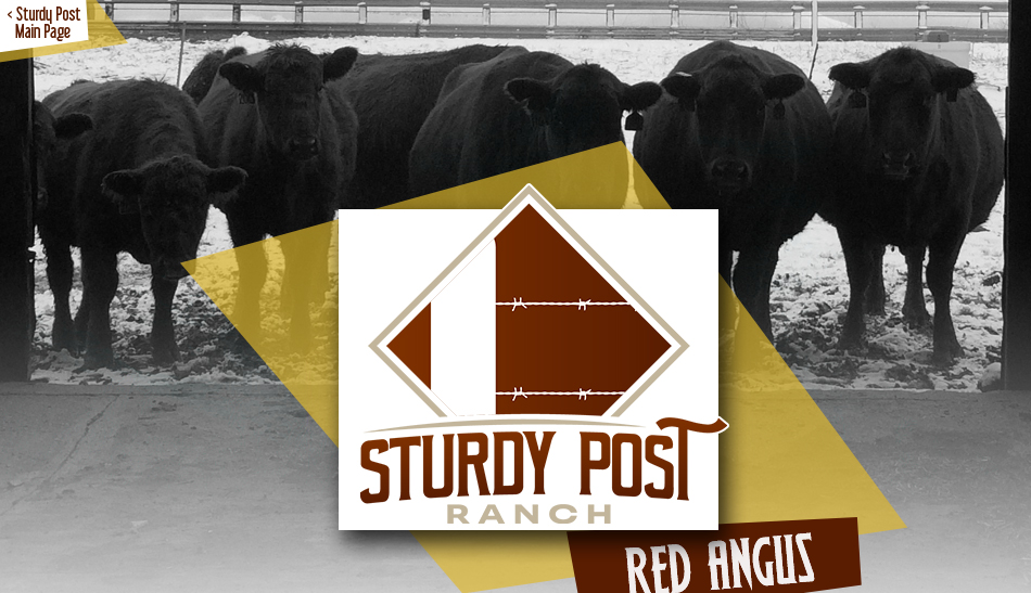 Sturdy Post Ranch